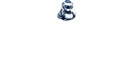 Thelaywala Sales Coach